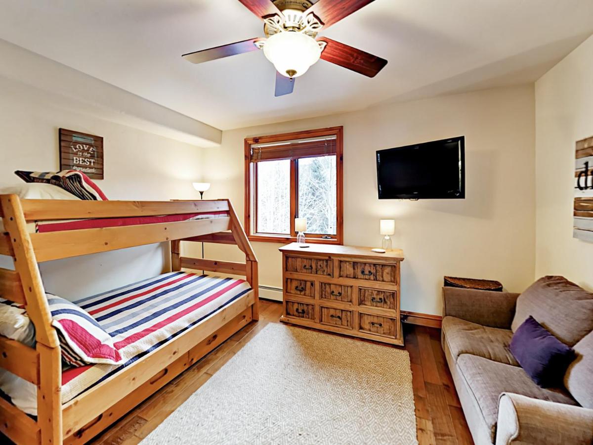 597 Sawatch Drive Townhome Townhouse - image 4
