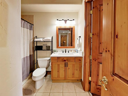597 Sawatch Drive Townhome Townhouse - image 9