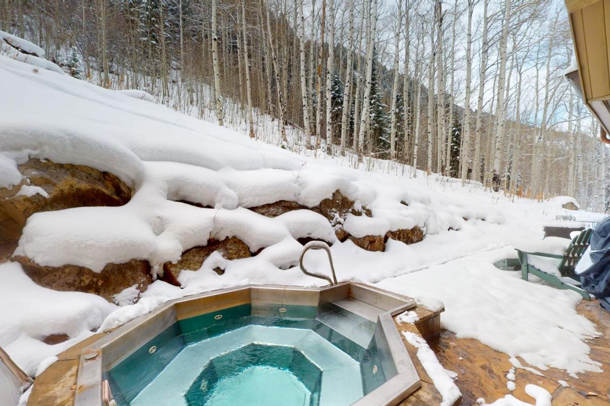 Spacious Mountain Retreat in East Vail - image 2