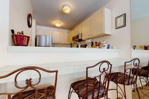 Cozy 1 Bedroom East Vail Condo #2C. Shuttle Hot Tub and Market on Site. - image 9