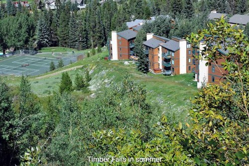 Cozy East Vail 2 Bedroom Condo #1601 w/ Fireplace. - image 2