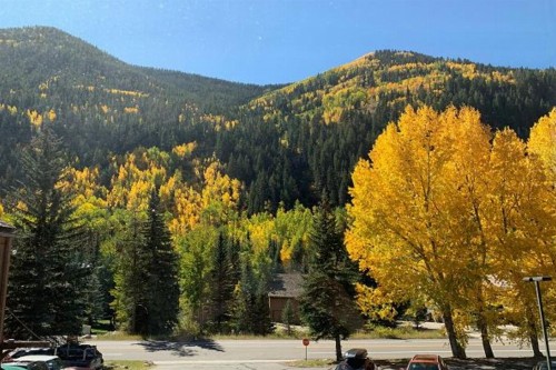 Pitkin Creek Park 7 - image 6