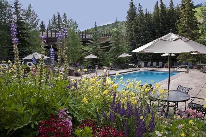 Vail Lion Square K Lodge - image 4