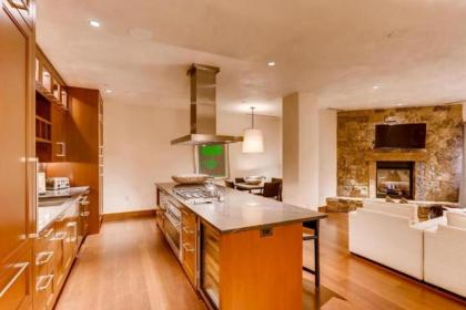 Vail Solaris Studio Den - image 5