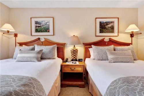Vail Lion Square QQ Lodge - image 24