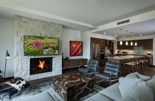Vail Lion 4 Bedroom - image 9