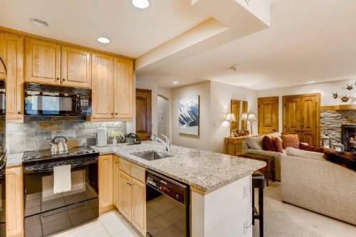 Vail Lion Square 550S - image 14