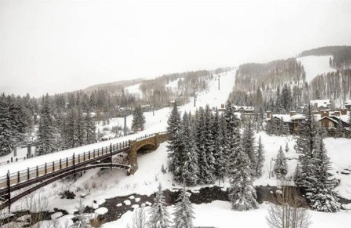 Vail Lion Square 401N - image 12
