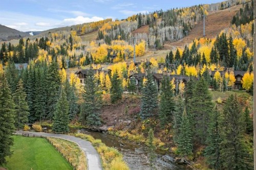 Vail Antlers 3 Bed - image 9