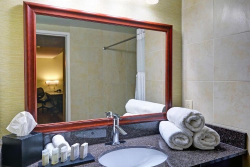 Embassy Suites Valencia - image 22