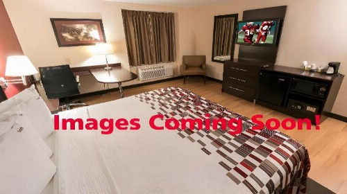 Red Roof Inn & Suites Vallejo - image 31