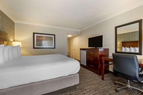 Best Western Plus Carriage Inn - image 26
