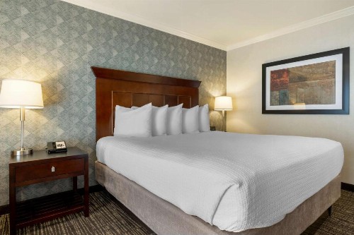 Best Western Plus Carriage Inn - image 30