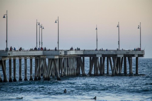 Venice on the Beach Hotel - image 16