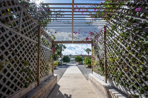 Island Sun Inn & Suites - Venice Florida Historic Downtown & Beach Getaway - image 33