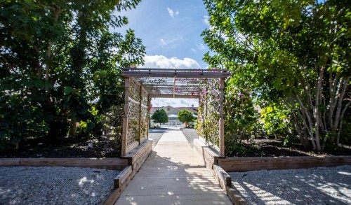 Island Sun Inn & Suites - Venice Florida Historic Downtown & Beach Getaway - image 9