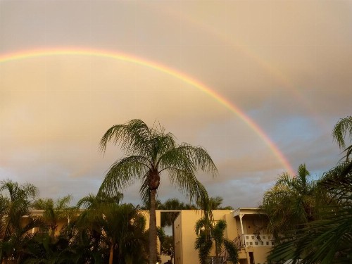 Venice Beach Villas - image 17
