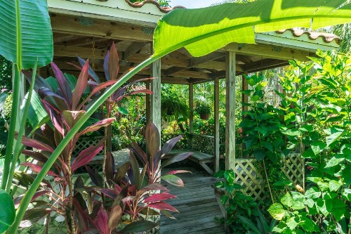 Tropical Villas Of Venice Beach - image 21