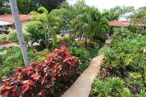 Tropical Villas Of Venice Beach - image 23