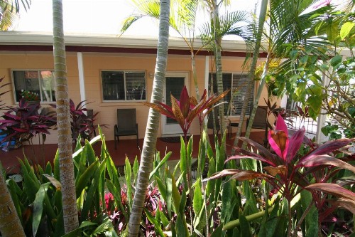 Tropical Villas Of Venice Beach - image 39