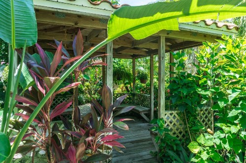 Tropical Villas Of Venice Beach - image 42