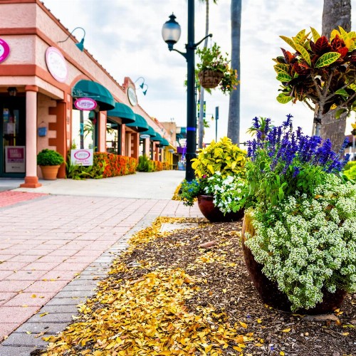 Tropical Villas Of Venice Beach - image 47