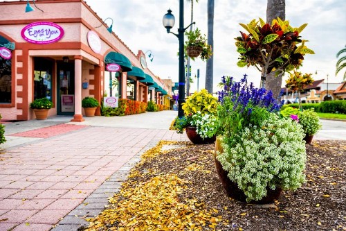 Tropical Villas Of Venice Beach - image 8