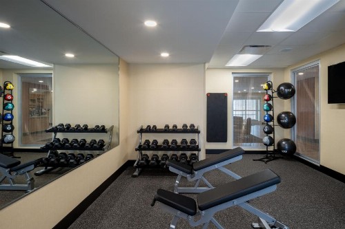 TownePlace Suites By Marriott Venice - image 17