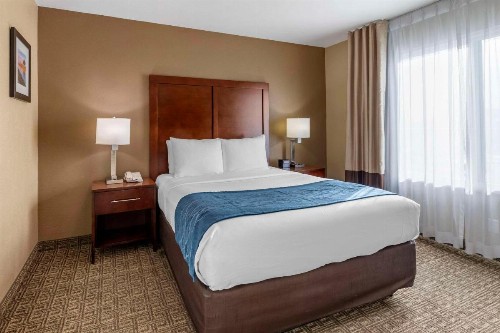 Comfort Inn & Suites Ventura Beach - image 10