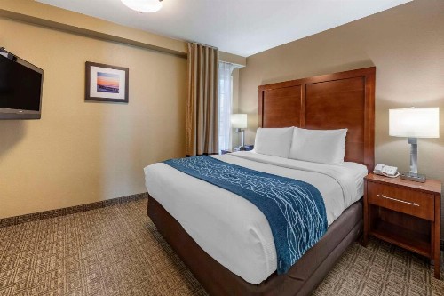 Comfort Inn & Suites Ventura Beach - image 17