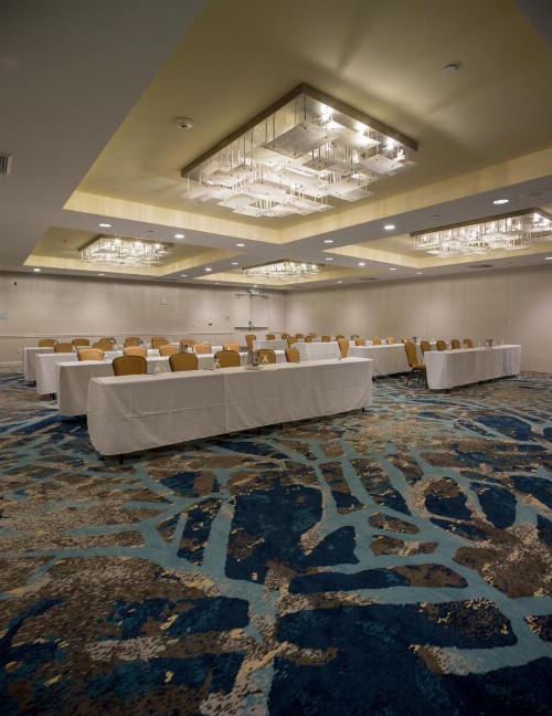 Crowne Plaza Hotel Ventura Beach an IHG Hotel - image 9