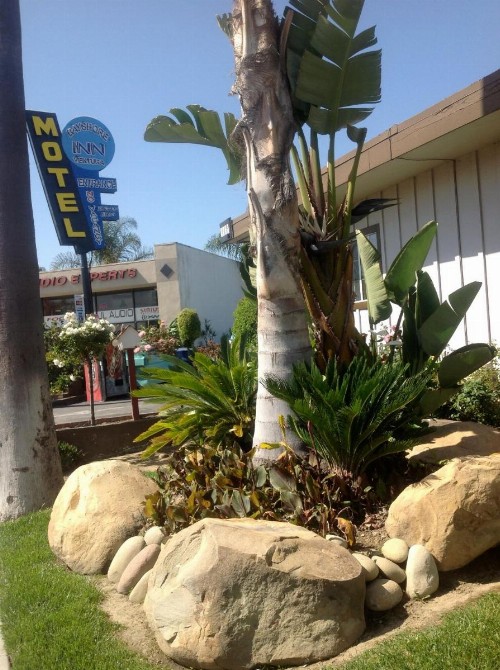 Bayshore Inn Ventura - image 21