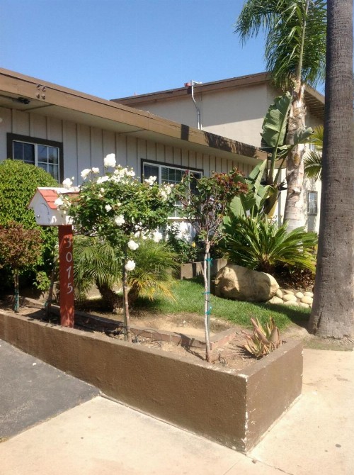 Bayshore Inn Ventura - image 33