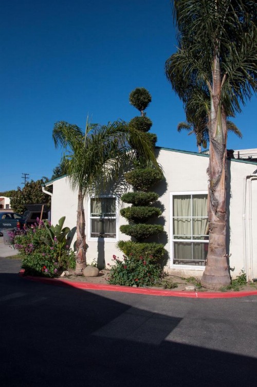 Mission Bell Motel - image 14