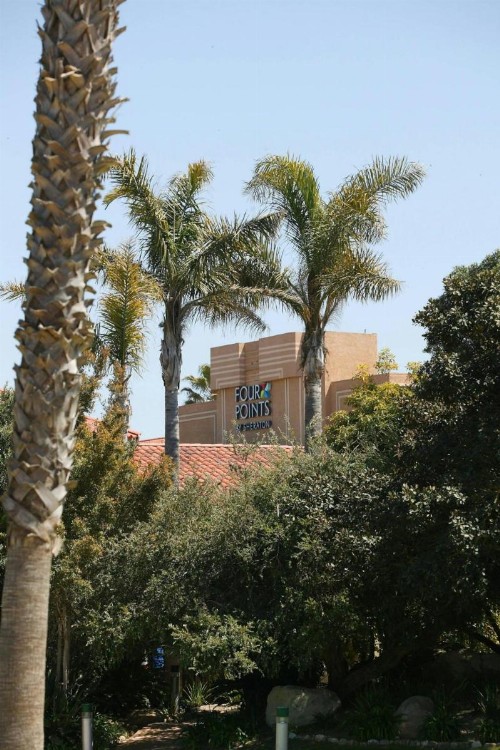Four Points by Sheraton Ventura Harbor Resort - image 22