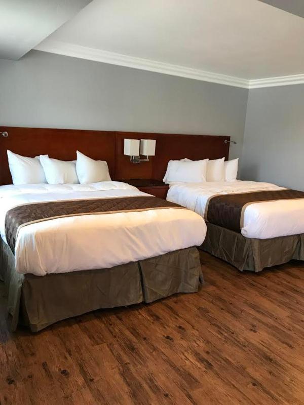 Rex Motel - main image