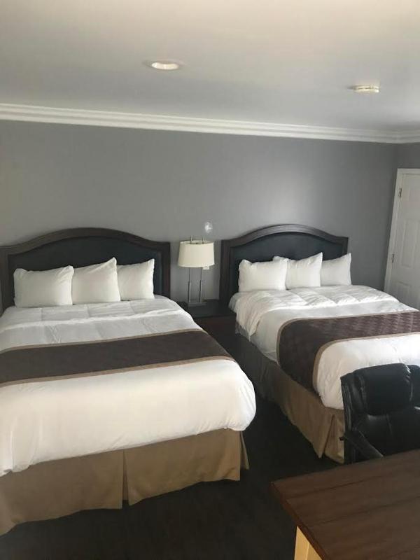Rex Motel - image 2