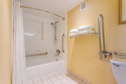 Holiday Inn Vero Beach-Oceanside an IHG Hotel - image 14