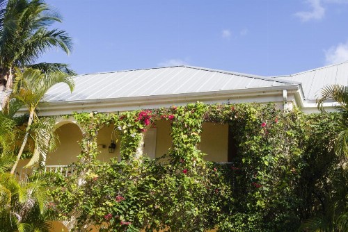 The Caribbean Court Boutique Hotel - image 2