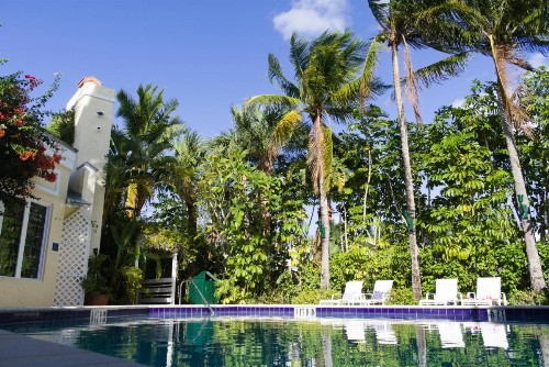 The Caribbean Court Boutique Hotel - image 3