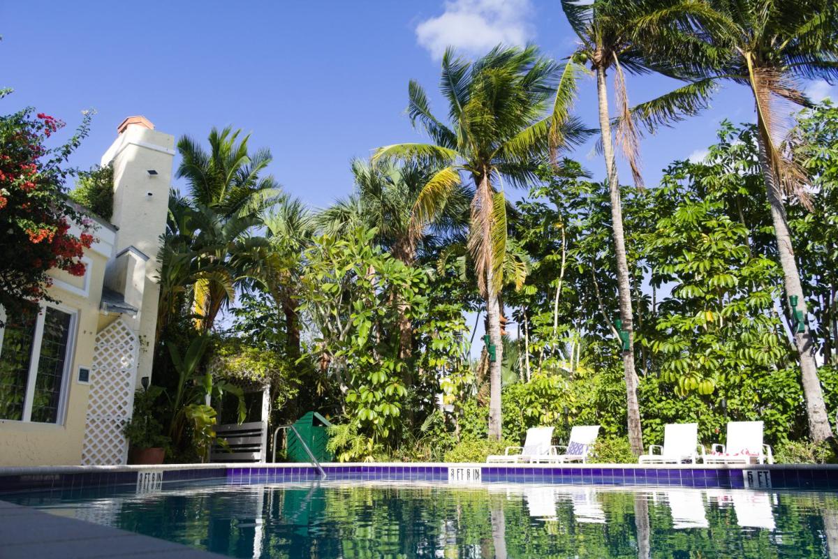 The Caribbean Court Boutique Hotel - image 3