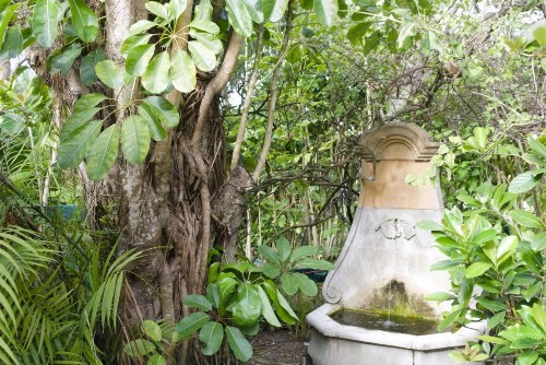 The Caribbean Court Boutique Hotel - image 36