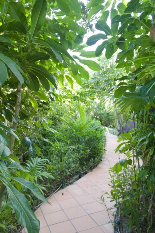 The Caribbean Court Boutique Hotel - image 39