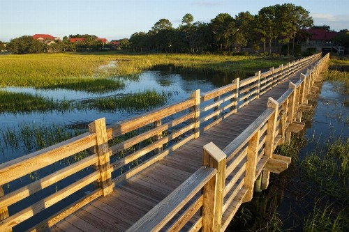 Disney's Vero Beach Resort - image 12