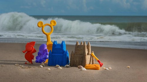 Disney's Vero Beach Resort - image 15