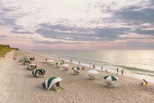 Disney's Vero Beach Resort - image 16