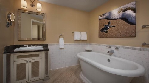 Disney's Vero Beach Resort - image 20