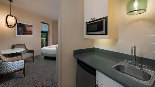 Disney's Vero Beach Resort - image 22