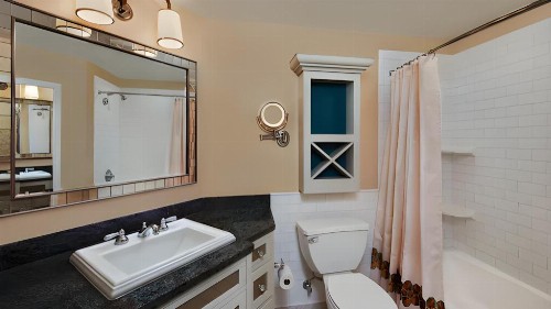 Disney's Vero Beach Resort - image 23