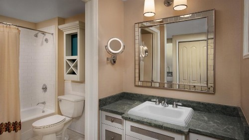Disney's Vero Beach Resort - image 26